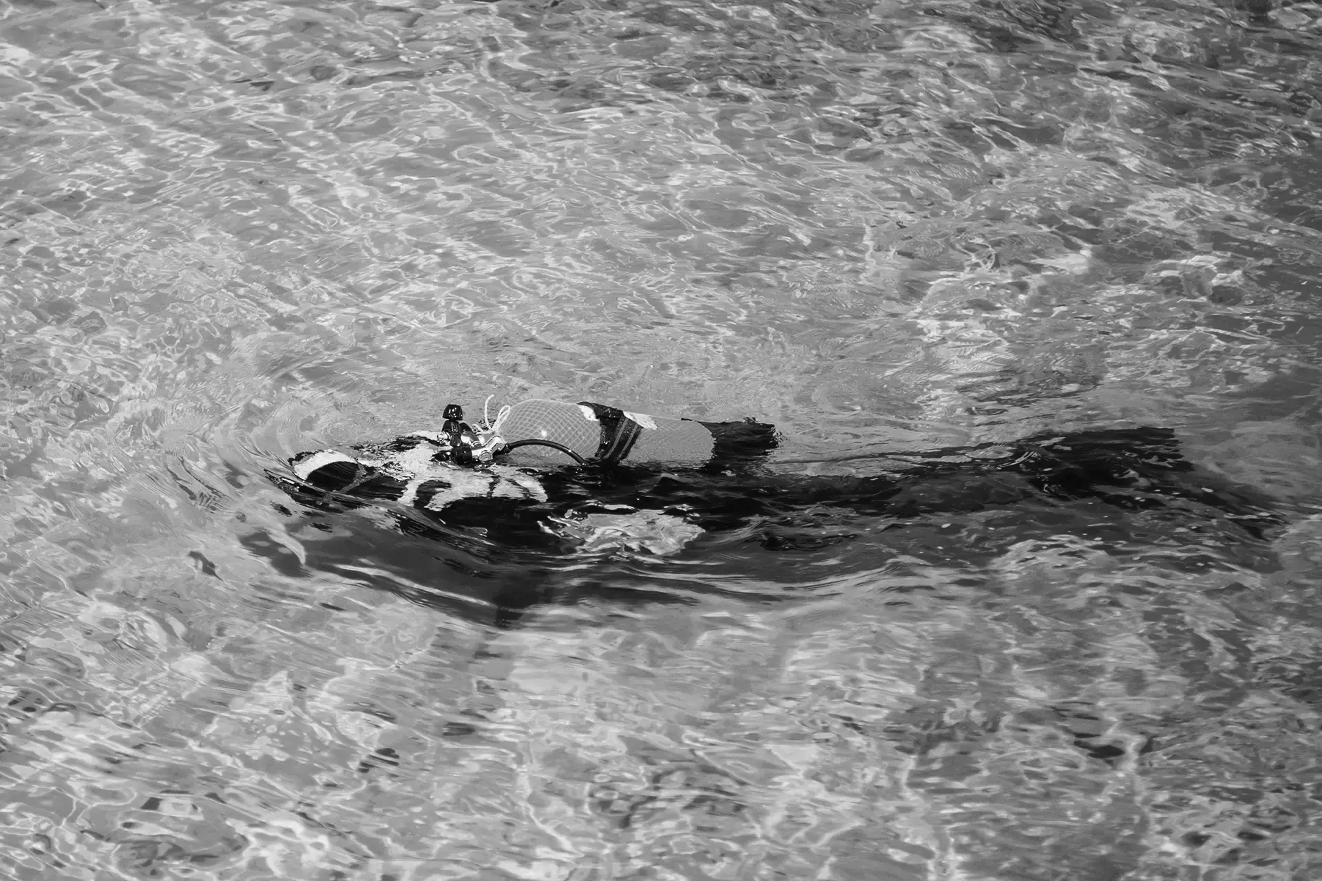 Deportes acuáticos con María y Miguel casas alquiler tarifa bn